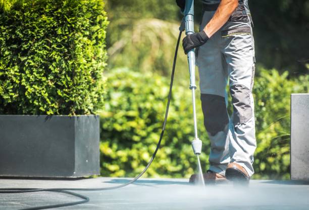 Best Residential House Exterior Washing  in Kekaha, HI